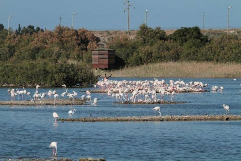 Verde Mare Isola Carrozziere Fonte Ciane Bagian luar foto